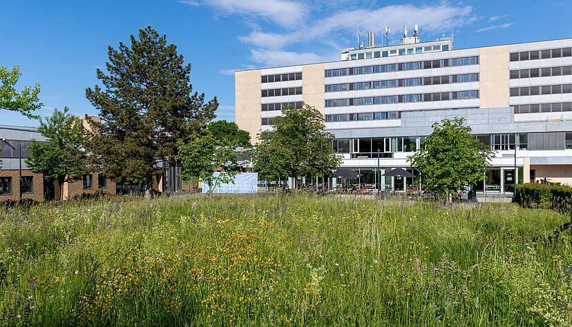Der idyllische Techcampus in Sontheim: Hier soll ein Sicherheitsdienst f&uuml;r mehr Schutz und ein friedliches Miteinander sorgen.