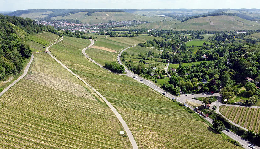 Nicht nur am Heilbronner Wartberg wie hier am Sattel, überall in der Region werden Weinberge nicht mehr bewirtschaftet, weil sich der Weinbau nicht oder kaum mehr rentiert.