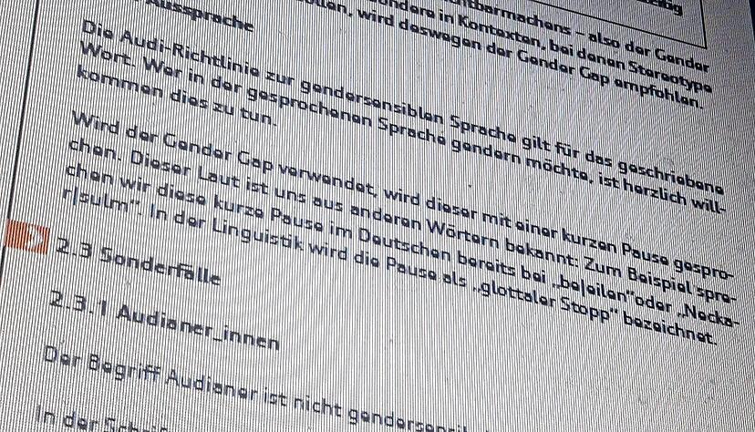 Auszug aus dem Leitfaden zur gendersensiblen Sprache mit dem Titel "Vorsprung beginnt im Kopf". Hier wird erl&auml;utert, wie der Unterstrich auch gesprochen werden kann &minus; als Pause wie in "Neckar-Sulm". Screenshot