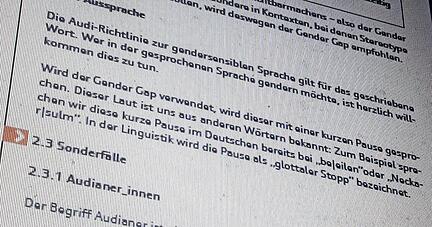 Auszug aus dem Leitfaden zur gendersensiblen Sprache mit dem Titel "Vorsprung beginnt im Kopf". Hier wird erl&auml;utert, wie der Unterstrich auch gesprochen werden kann &minus; als Pause wie in "Neckar-Sulm".
Screenshot