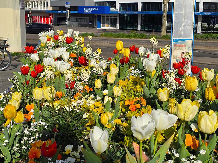 So schafft es der Frühling bis ans Wollhaus. So schafft es der Frühling bis ans Wollhaus.