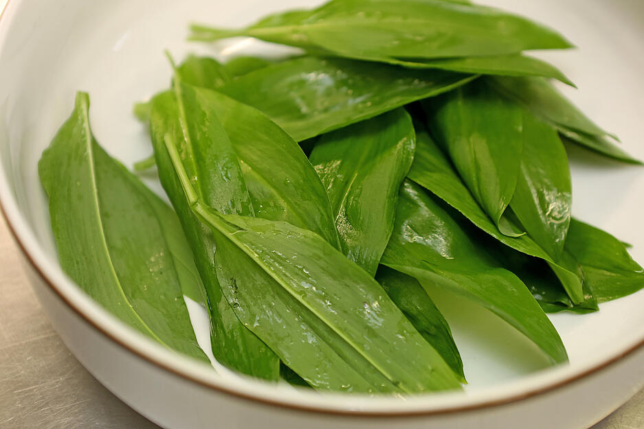 Hofgut Hohsch&ouml;n Gundelsheim Maultaschenproduktion