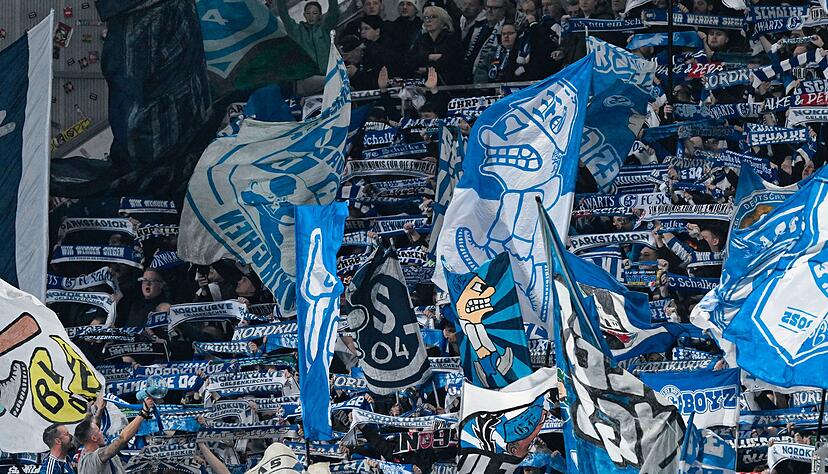 Die Schalker Fans unterst&uuml;tzten ihre Mannschaft auch in Darmstadt wieder lautstark.