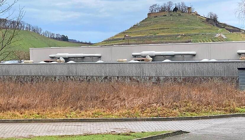 S&uuml;dlich der Weibertreuhalle soll der Container f&uuml;r die Weinsberger Grundschulkinder aufgestellt werden.