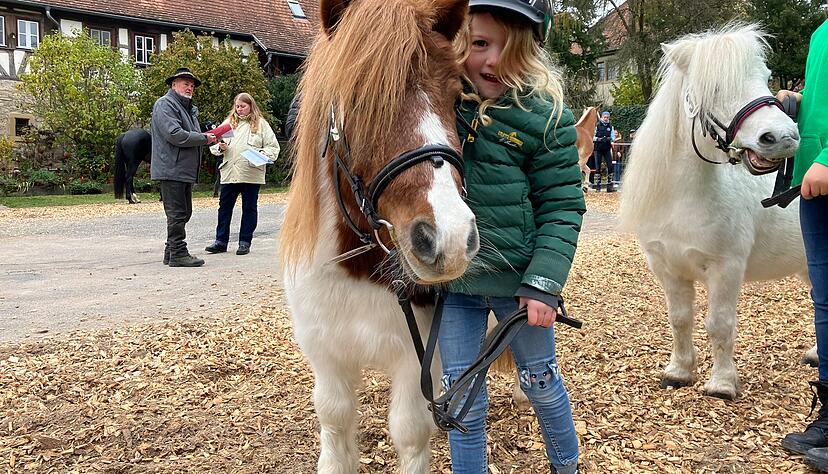 Die erst fünfjährige Carlotta Brauns führt ihr neunjähriges Pony vor. Die Süß-Attacke kommt in den Endring. Die erst fünfjährige Carlotta Brauns führt ihr neunjähriges Pony vor. Die Süß-Attacke kommt in den Endring.