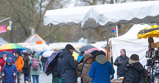 Pferdemarkt am Samstag