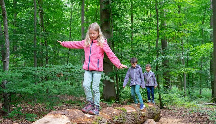 Spielerisch die Natur erleben kann man im Wald des K&uuml;nzelsauer Stadtteils Tal&auml;cker.