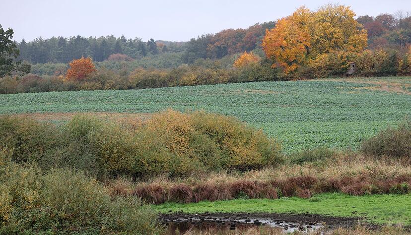Die Suchmaßnahmen im Umfeld der Stelle, an der in der Nähe Güstrows am Dienstag ein toter Junge gefunden wurde, sind abgeschlossen. Die Suchmaßnahmen im Umfeld der Stelle, an der in der Nähe Güstrows am Dienstag ein toter Junge gefunden wurde, sind abgeschlossen.