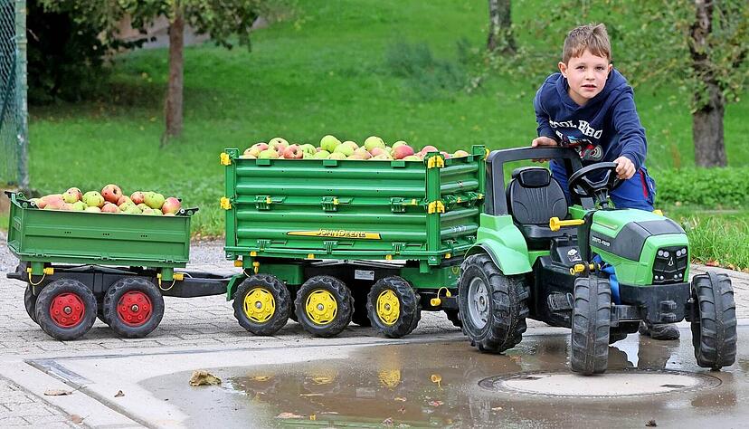 Die Ladung ist ganz schön schwer. Johannes Emser muss seinen Trettraktor mit den Anhängern auf die Waage schieben.