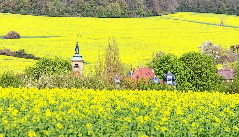 Die meine.stimme-Heimatreporter haben die vielen Rapsfelder in der Region dokumentiert und zeigen, wie unterschiedlich das Motiv fotografiert werden kann.