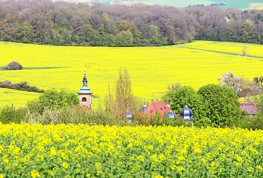 Die meine.stimme-Heimatreporter haben die vielen Rapsfelder in der Region dokumentiert und zeigen, wie unterschiedlich das Motiv fotografiert werden kann. Die meine.stimme-Heimatreporter haben die vielen Rapsfelder in der Region dokumentiert und zeigen, wie unterschiedlich das Motiv fotografiert werden kann.