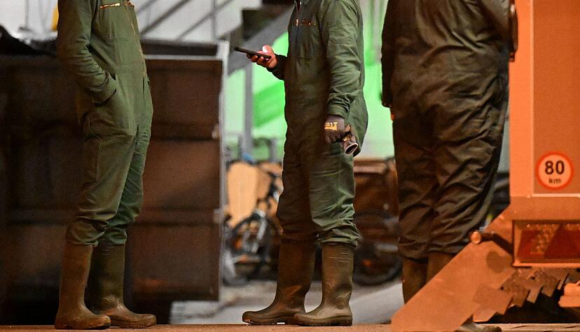 Zuletzt wurde ein großer Ausbruch der Krankheit im Südwesten bekannt. Zuletzt wurde ein großer Ausbruch der Krankheit im Südwesten bekannt.