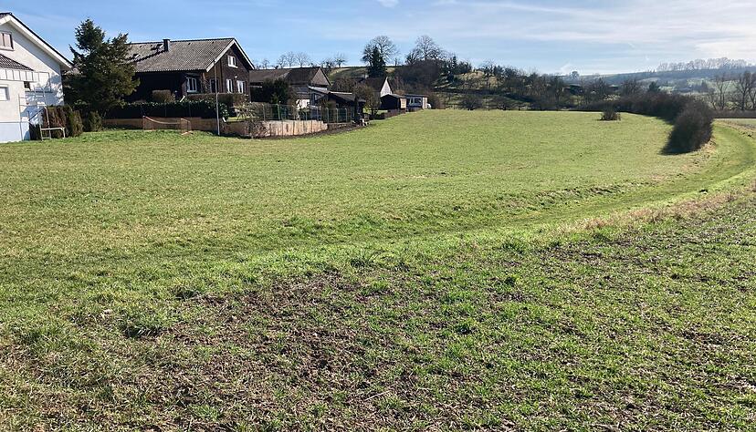 Noch gr&uuml;ne Wiese: Mit elf weiteren Baupl&auml;tzen an der Brandstatt arrondiert Eppingen im Ortsteil Kleingartach den s&uuml;dwestlichen Ortsrand.