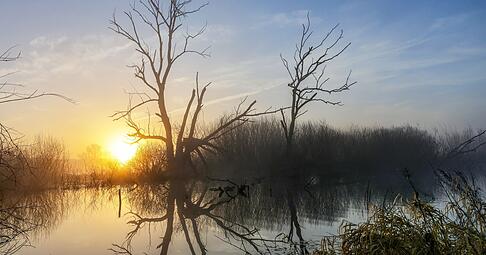 K&ouml;nnte in Baden-W&uuml;rttemberg am Wochenende die 20-Grad-Marke geknackt werden?