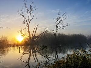 K&ouml;nnte in Baden-W&uuml;rttemberg am Wochenende die 20-Grad-Marke geknackt werden?