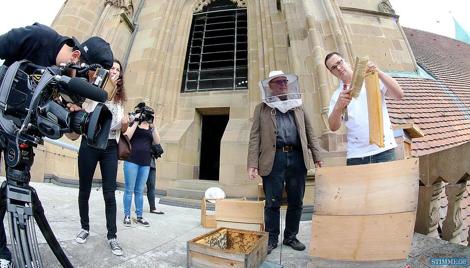 Honig auf der Kilianskirche Honig auf der Kilianskirche