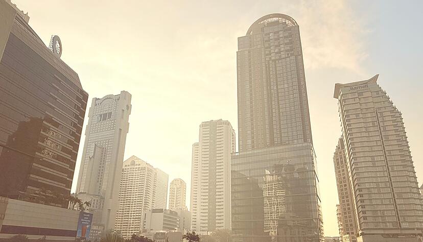 Auch Brandrodungen tragen zum gef&auml;hrlichen Smog bei.