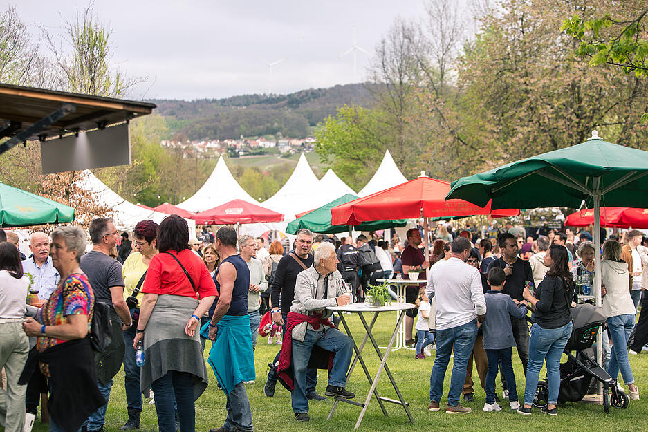 Wein am See - das Weinfest am Breitenauer See