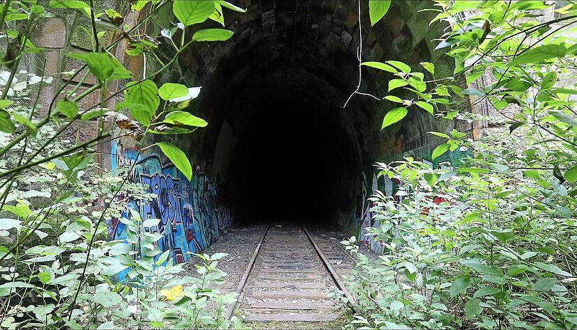 Der Lerchenbergtunnel ist mal mehr mal weniger verwuchert
Foto: Archiv/Veigel Der Lerchenbergtunnel ist mal mehr mal weniger verwuchert
Foto: Archiv/Veigel