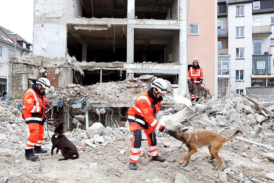 Rettungshundetraining im Kaufhaus Barthel