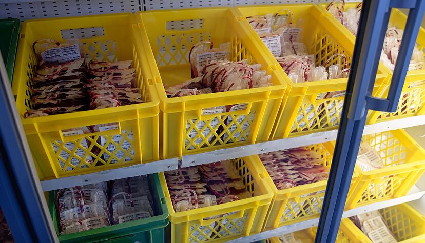 Blutpr&auml;parate liegen in K&uuml;hlschr&auml;nken im Zentrallabor des DRK-Blutspendedienstes