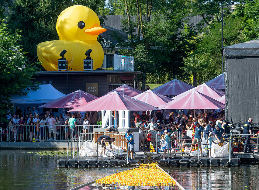 Bereits zum 20. Mal findet das Entenrennen in Heilbronn statt. Die Erlöse des Events, das parallel zum Lichterfest stattfindet, gehen an soziale Projekte. Bereits zum 20. Mal findet das Entenrennen in Heilbronn statt. Die Erlöse des Events, das parallel zum Lichterfest stattfindet, gehen an soziale Projekte.