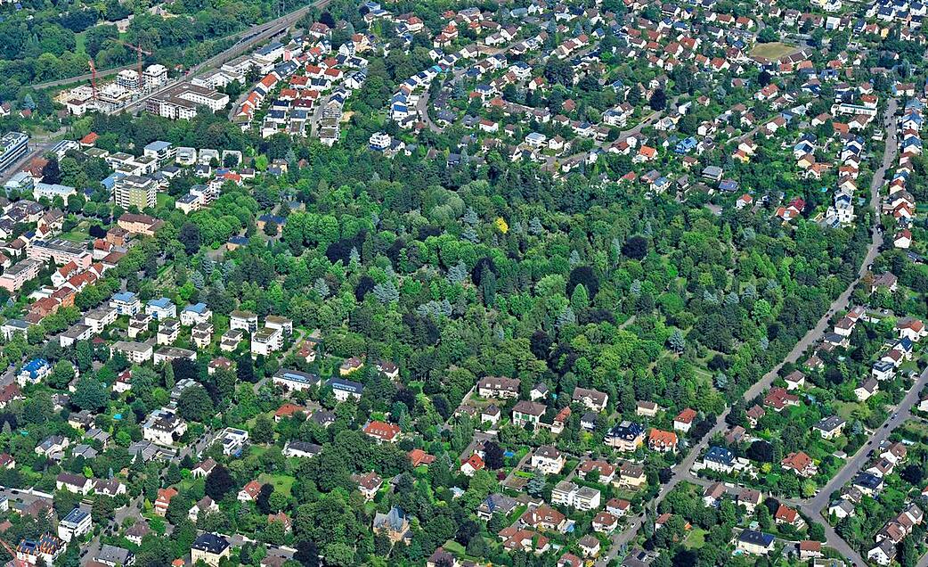 Grüne Lungen der Stadt - STIMME.de
