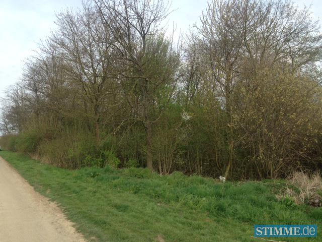 Leichenfund bei Neuenstadt Leichenfund bei Neuenstadt