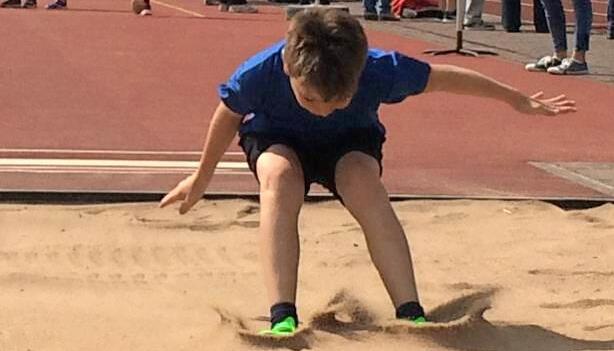 Voll konzentriert: Dominik Eckstein vom TSV Bitzfeld springt. Voll konzentriert: Dominik Eckstein vom TSV Bitzfeld springt.