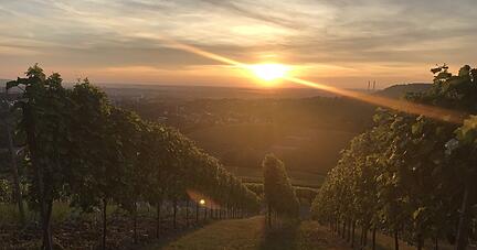Sonnenuntergang &uuml;ber Heilbronn. Foto: Tsch&uuml;rtz
