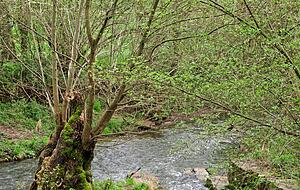 Wasser ist ein Lebensquell für die Menschen und muss geschützt werden. In Öhringen sorgt die Kläranlage dafür, dass die Ohrn sauber bleibt.
Fotos (2): Andreas Scholz Wasser ist ein Lebensquell für die Menschen und muss geschützt werden. In Öhringen sorgt die Kläranlage dafür, dass die Ohrn sauber bleibt.
Fotos (2): Andreas Scholz