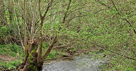 Wasser ist ein Lebensquell für die Menschen und muss geschützt werden. In Öhringen sorgt die Kläranlage dafür, dass die Ohrn sauber bleibt.
Fotos (2): Andreas Scholz Wasser ist ein Lebensquell für die Menschen und muss geschützt werden. In Öhringen sorgt die Kläranlage dafür, dass die Ohrn sauber bleibt.
Fotos (2): Andreas Scholz