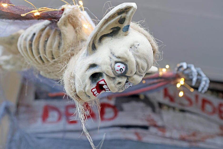 Das Halloweenhaus von Bad Rappenau-Babstadt