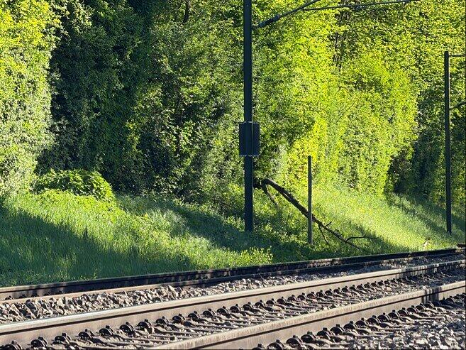 Ein Baum ist bei Bretzfeld auf die Bahnstrecke gefallen.