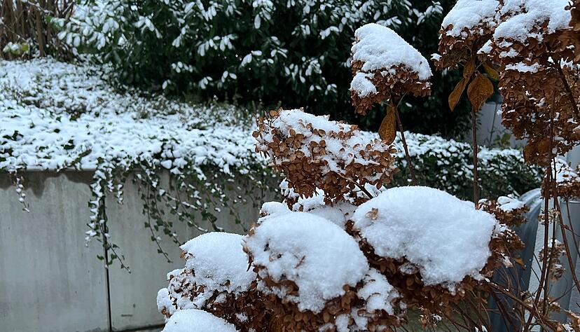 Die Gemeinde Roigheim im Landkreis Heilbronn ist am Donnerstagmorgen mit einer Schicht Schnee bedeckt.