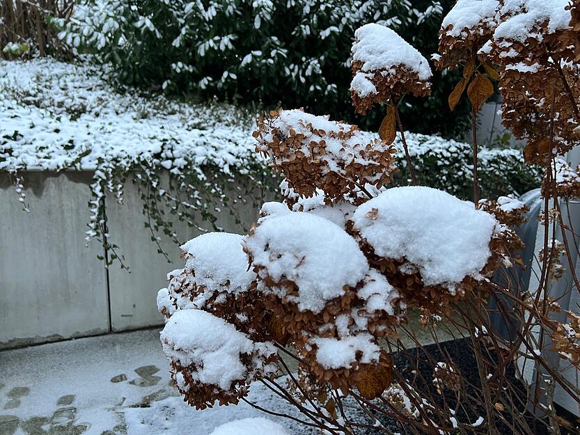 Die Gemeinde Roigheim im Landkreis Heilbronn ist am Donnerstagmorgen mit einer Schicht Schnee bedeckt.