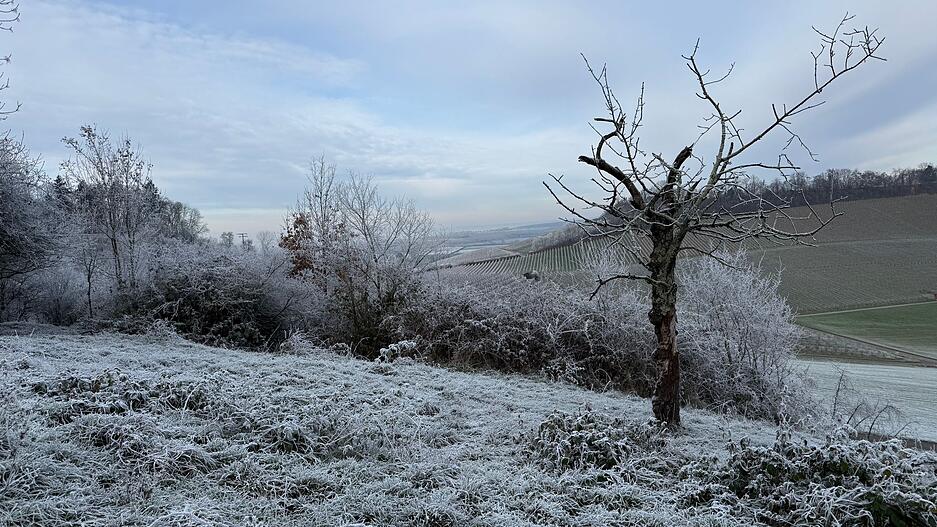 ... und hüllt die Landschaft in Weiß. ... und hüllt die Landschaft in Weiß.