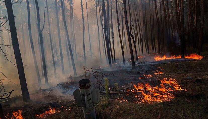 Abgebrannte W&auml;lder, dazu Abgase von Milit&auml;rfahrzeugen: Auch f&uuml;r das Klima ist der russische Angriffskrieg gegen die Ukraine eine Katastrophe. (Symbolbild)