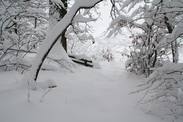 Foto entstand im Gellmersbacher Wald. Zugeschneite Bank mit Blick auf Gellmersbach. Foto entstand im Gellmersbacher Wald. Zugeschneite Bank mit Blick auf Gellmersbach.