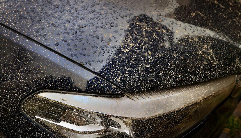 Saharastaub besteht aus feinen Sandk&ouml;rnern, die auf Lack, Scheiben und Kunststoffoberfl&auml;chen Kratzer hinterlassen k&ouml;nnen.