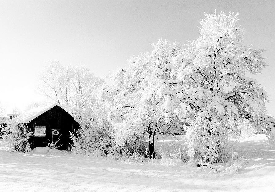In Brackenheim-Dürrenzimmern hatte sich im Jahr 1999 rund um Weihnachten eine Schneelandschaft gebildet.