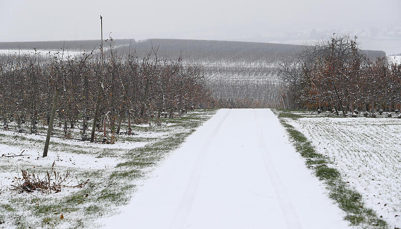 Winterliche Stimmung bei Lauffen.