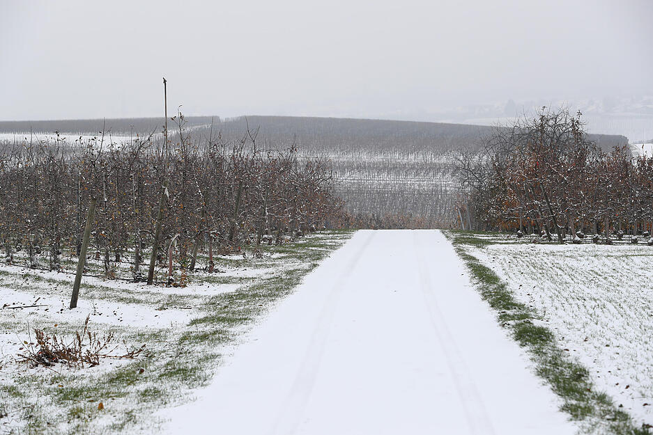 Winterliche Stimmung bei Lauffen.