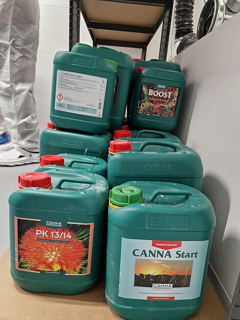 Spezialdünger für jede Phase lässt die Cannabis-Pflanzen gedeihen.