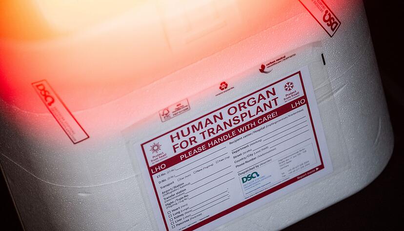 Die Ersatzorgane werden in einer Kühlbox transportiert. (Symbolbild) Die Ersatzorgane werden in einer Kühlbox transportiert. (Symbolbild)