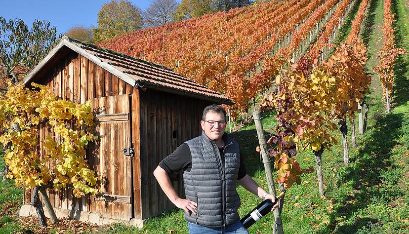 Für Rainer Wachtstetter ist sein Beruf auch sein Hobby. Obwohl die Vermarktung immer mehr Raum einnimmt, ist er so oft wie möglich im Weinberg. Foto: Claudia Kostner