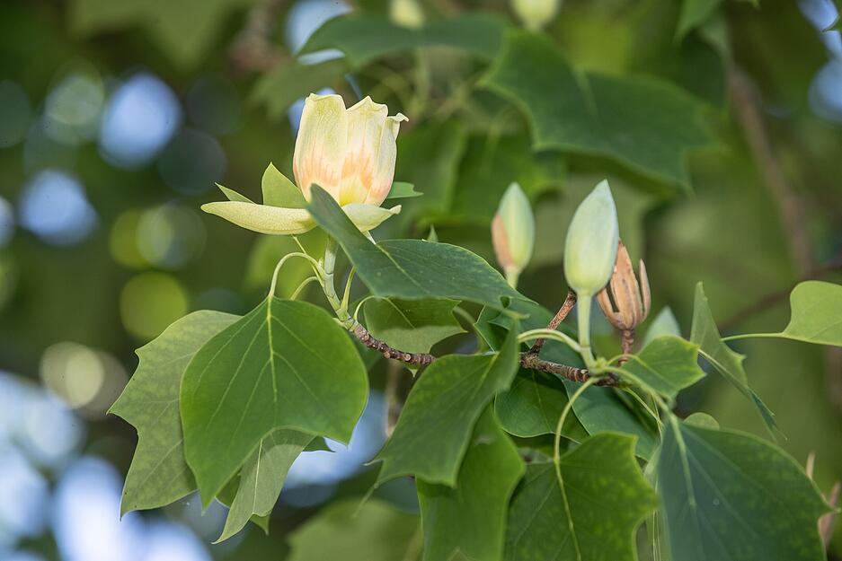 Hauptfriedhof Heilbronn Hauptfriedhof Heilbronn
