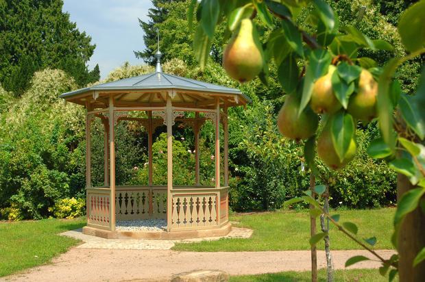 Botanischer Obstgarten Heilbronn Botanischer Obstgarten Heilbronn