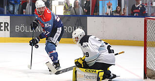 Luis Ludin (links) war beim 4:2-Auswärtssieg der Falken bei den Höchstadt Alligators der beste Spieler der Gäste.