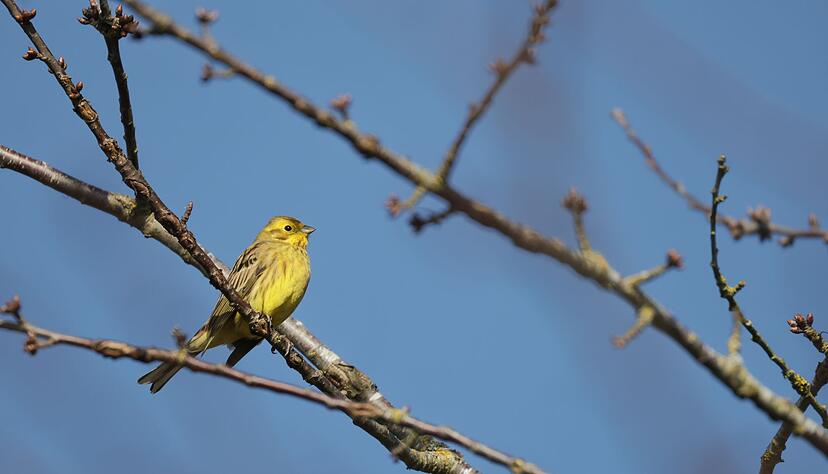Die Sonne lacht &uuml;ber baden-W&uuml;rttemberg.